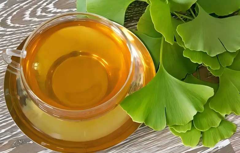 ginkgo biloba essential oil