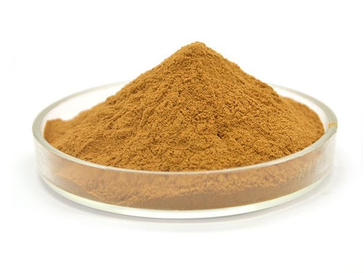Ginkgo Biloba extract powder