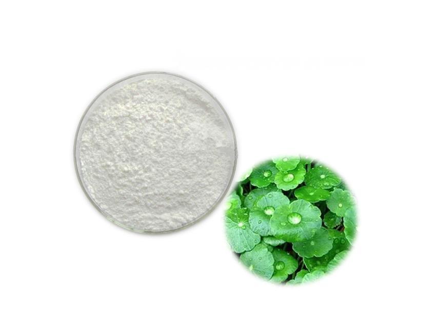 Centella Asiatica extract powder