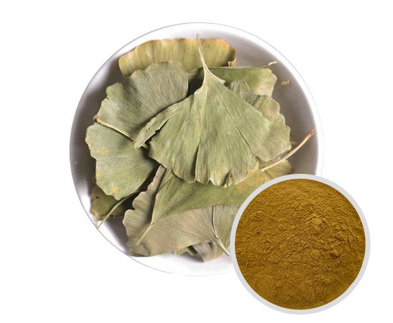 Ginkgo Biloba extract powder