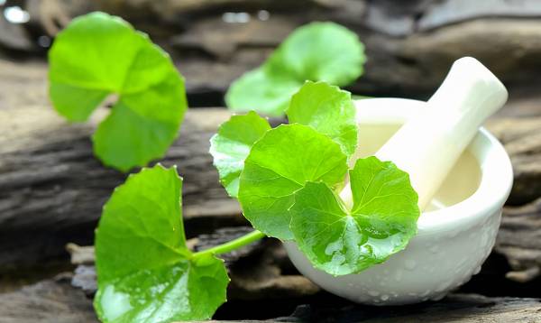 Centella Asiatica