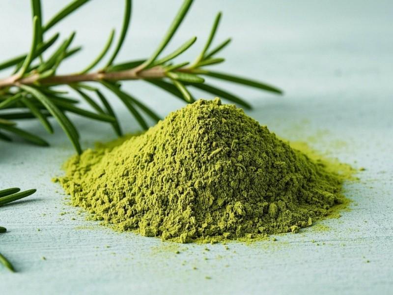 Rosemary extract powder