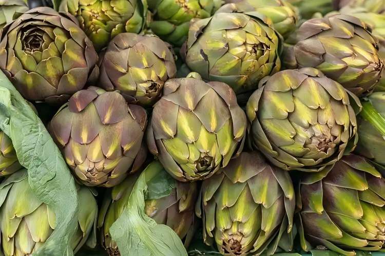 Artichoke