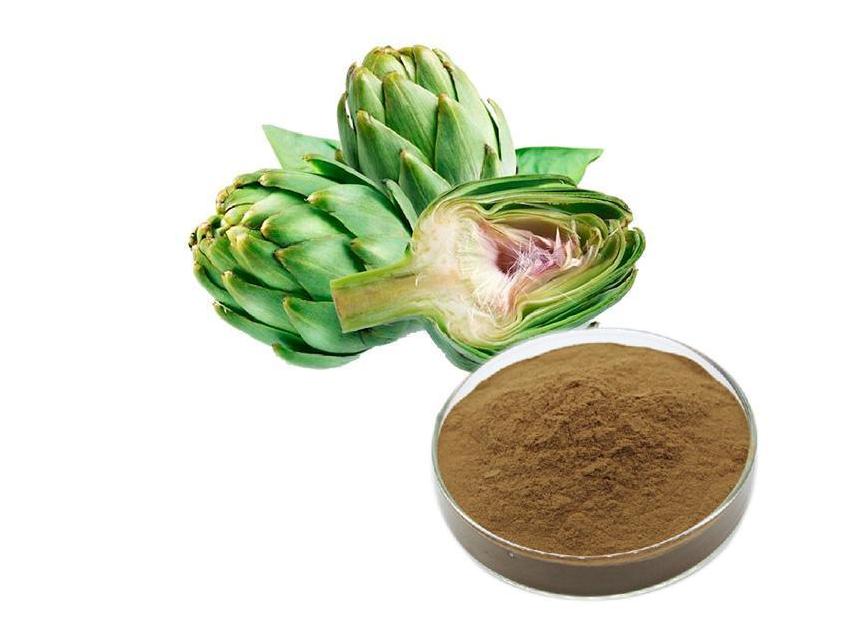 Artichoke extract powder