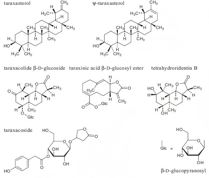Dandelion extract 