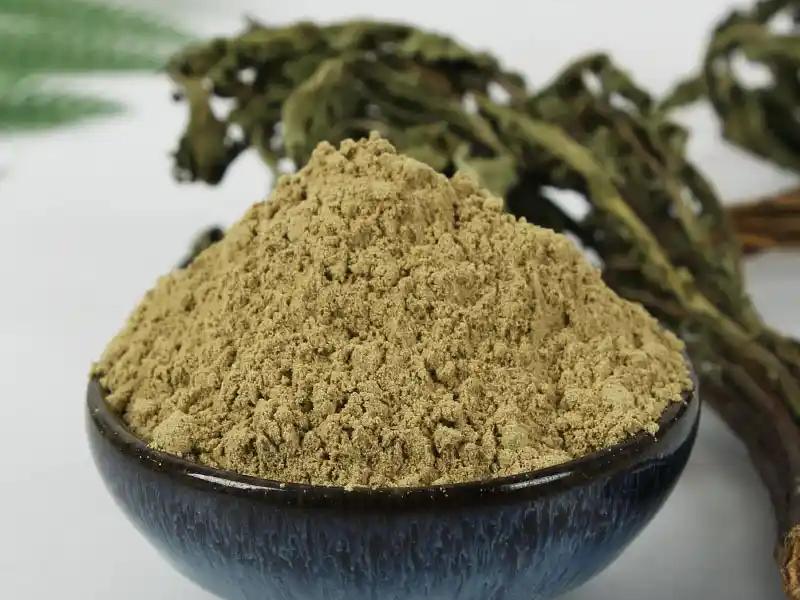 Dandelion extract powder