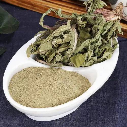 Dandelion extract powder
