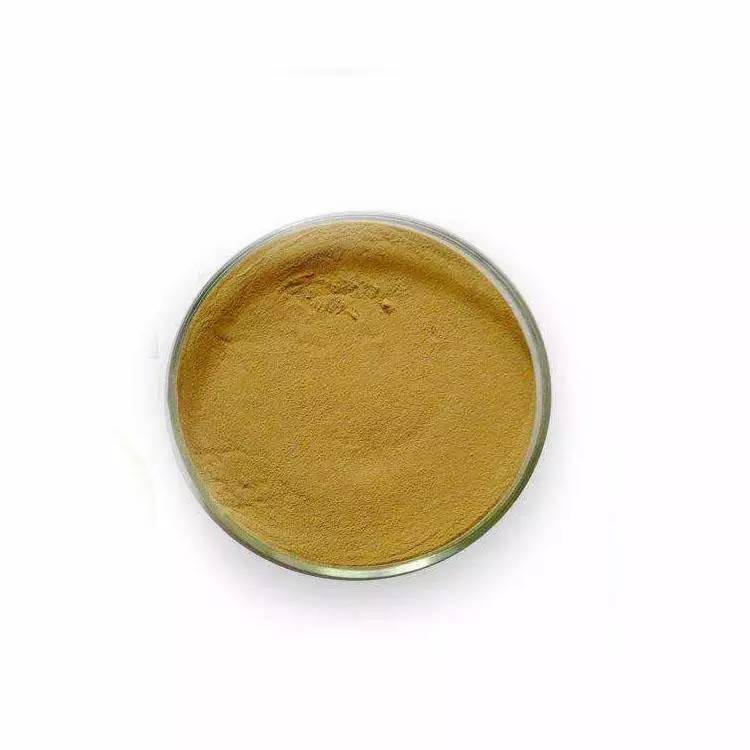 Dandelion extract powder