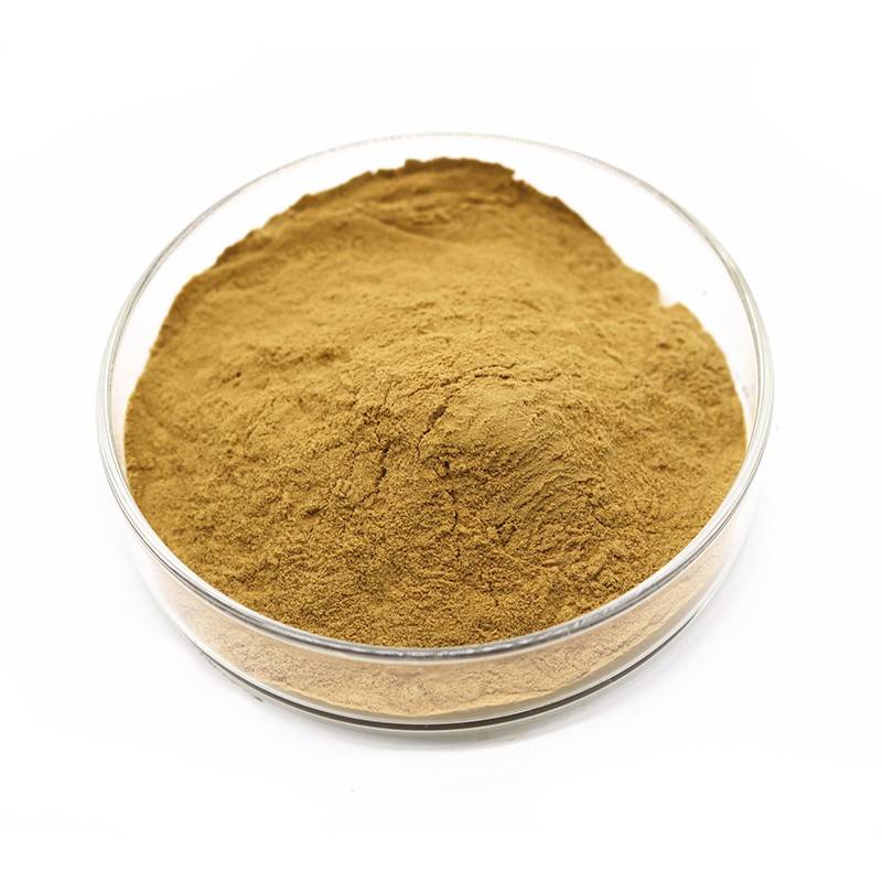 Dandelion extract powder
