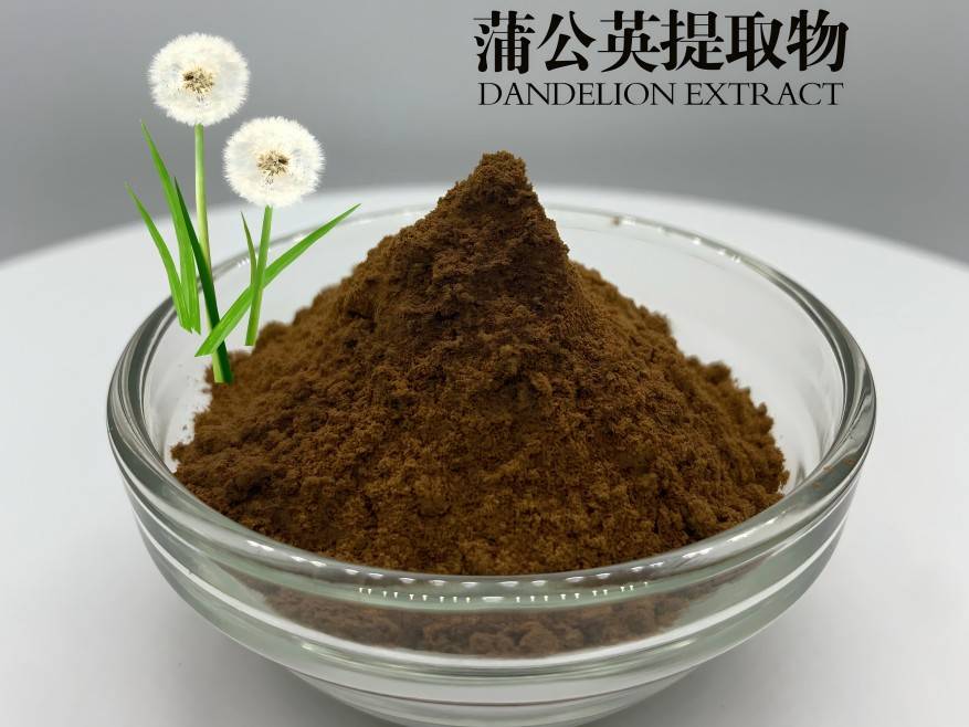 Dandelion Extract Powder
