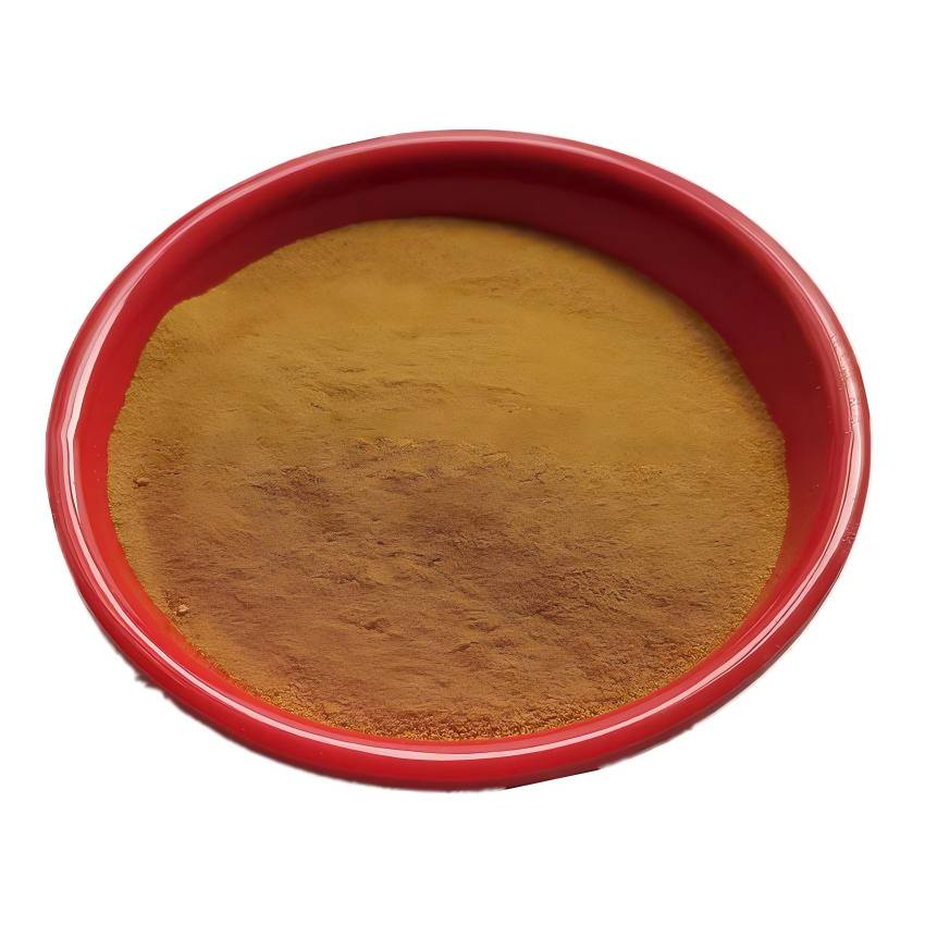 Dandelion extract powder