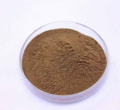  dandelion extract powder