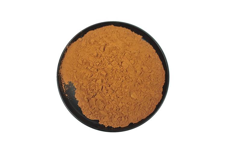 Dandelion Extract powder