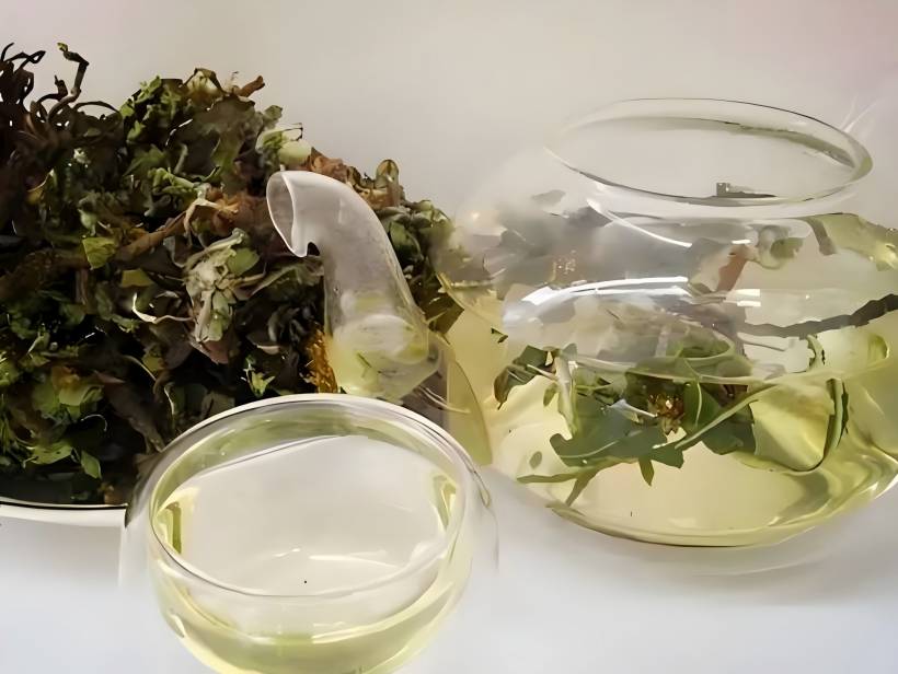 Dandelion Extract tea