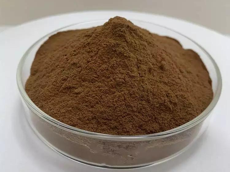 dandelion extract powder