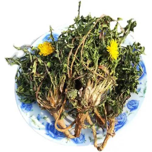 dandelion