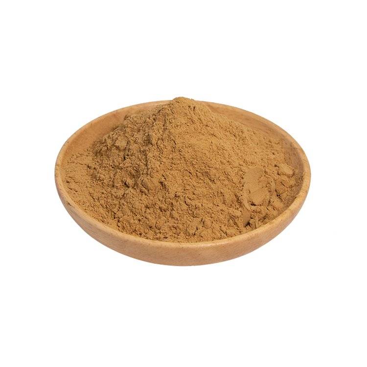 Dandelion Extract Powder