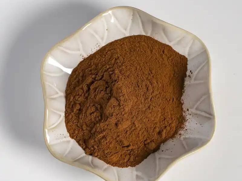 Lemon Balm Extract Powder 