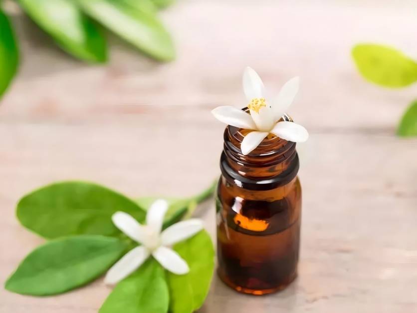  Lemon Balm Essential Oil