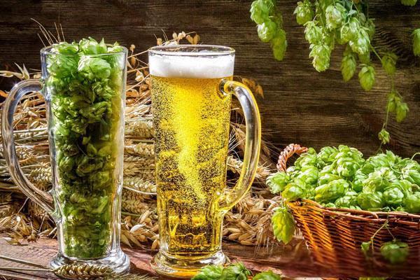 Hop Extract in Beer
