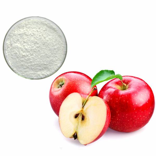 Apple Extract Powder 80% Polyphenol