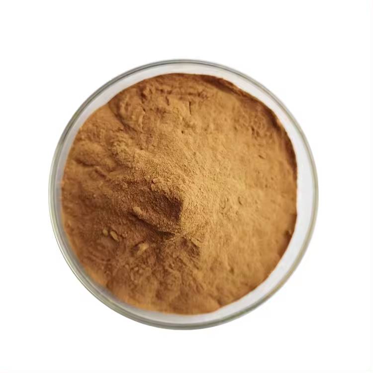 Tribulus Terrestris Extract 40% Saponins