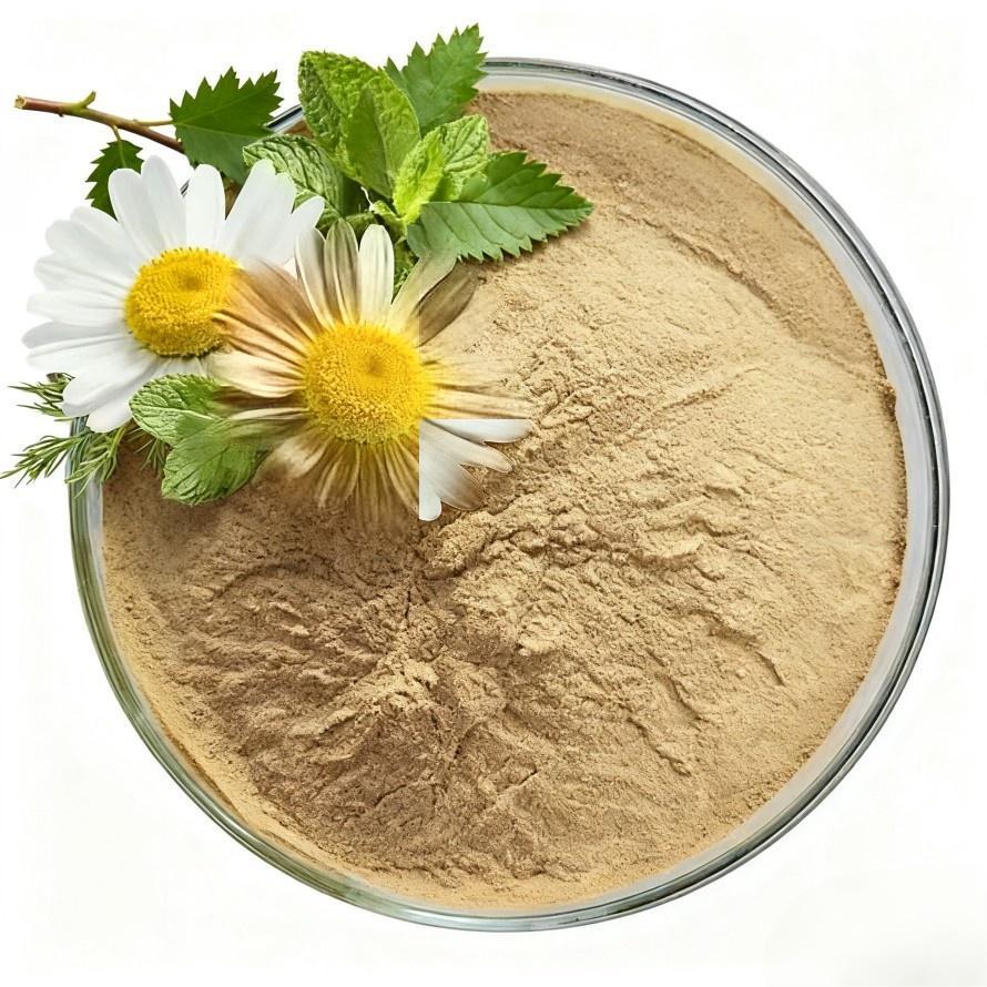 Chamomile Extract Powder 10:1 Chamomile Extract Powder 10:1