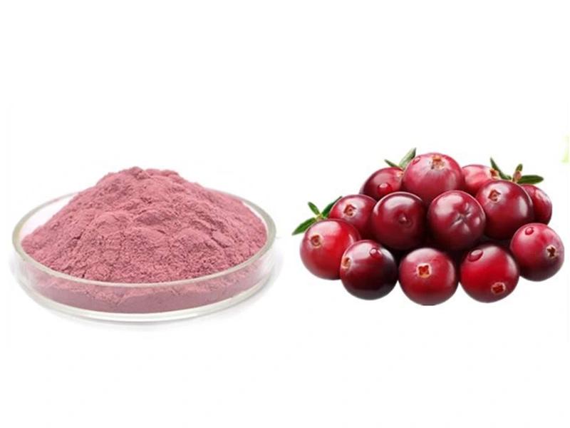 Poudre d’extrait de canneberge 20% proanthocyanidines Cranberry Extract Powder 20% Proanthocyanidins