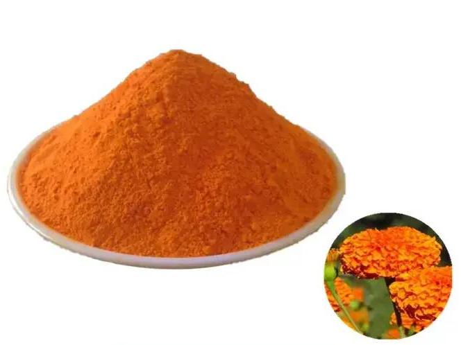 Marigold Flower Extract Lutein Powder 80% Bulk