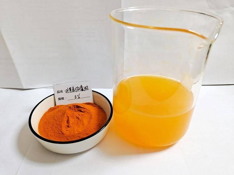 Extracto de caléndula al 5% de polvo de luteína Marigold Extract 5% Lutein Powder