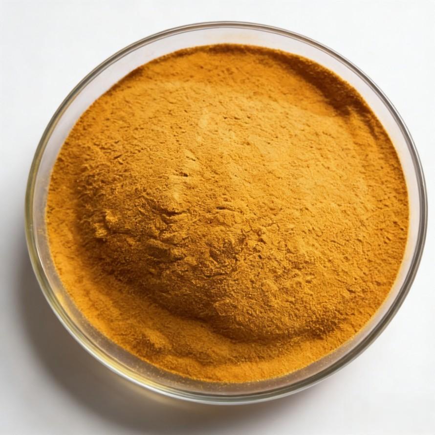 Turmeric Extract 95% Curcumin Turmeric Extract 95% Curcumin